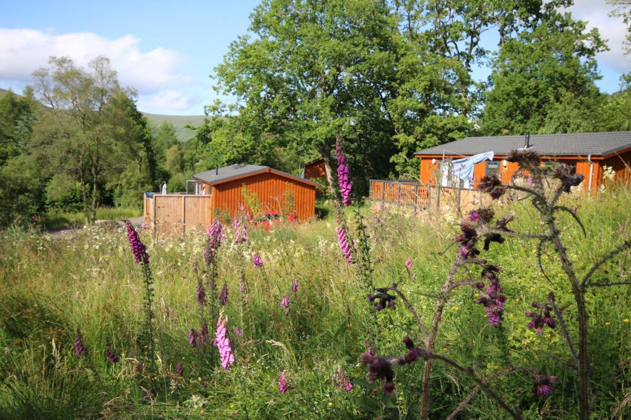 Balquhidder Braes Holiday Park Lodges, Mostly With Hot Tubs And Pet Friendly, Ev Facilities Lochearnhead Exteriér fotografie