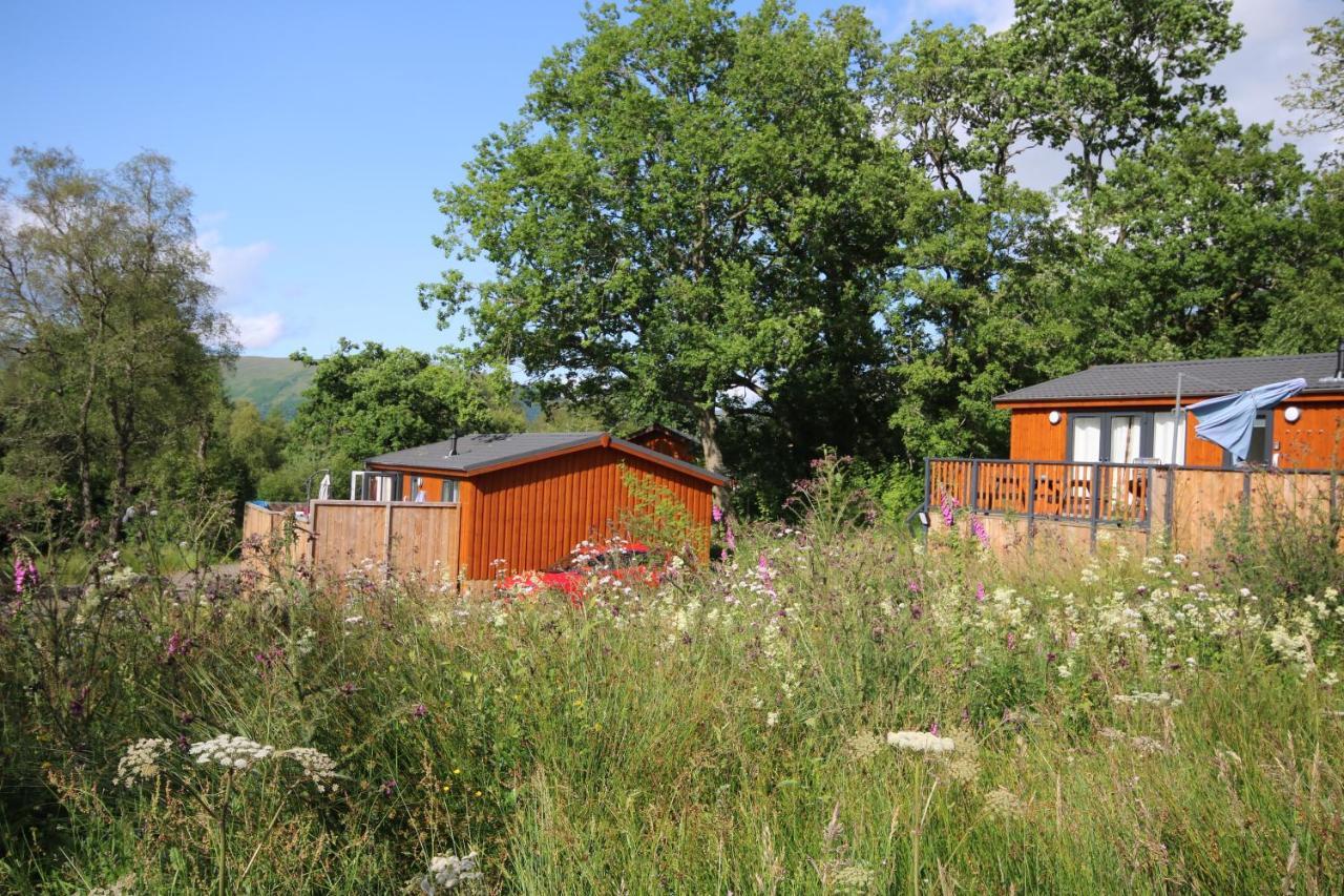 Balquhidder Braes Holiday Park Lodges, Mostly With Hot Tubs And Pet Friendly, Ev Facilities Lochearnhead Exteriér fotografie