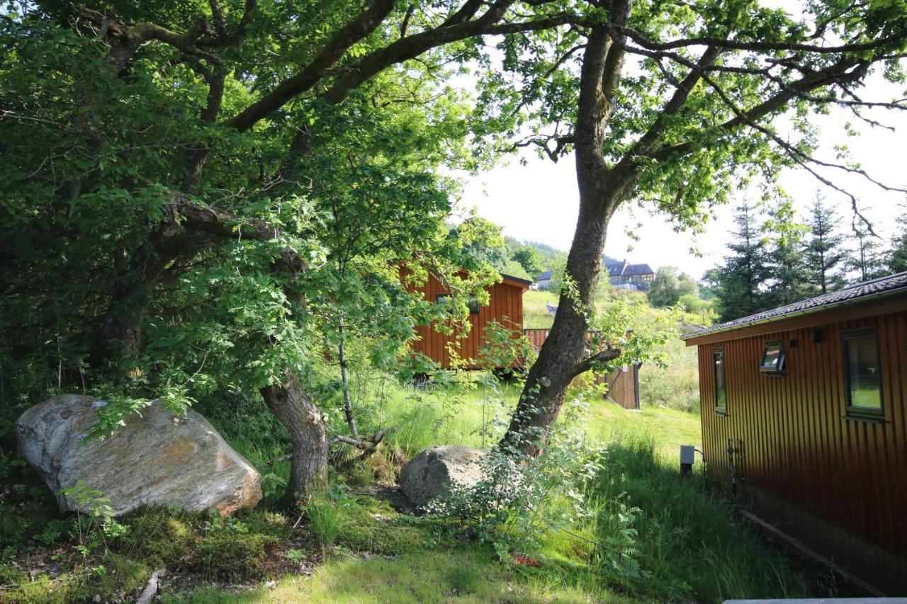 Balquhidder Braes Holiday Park Lodges, Mostly With Hot Tubs And Pet Friendly, Ev Facilities Lochearnhead Exteriér fotografie