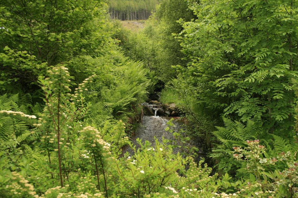 Balquhidder Braes Holiday Park Lodges, Mostly With Hot Tubs And Pet Friendly, Ev Facilities Lochearnhead Exteriér fotografie