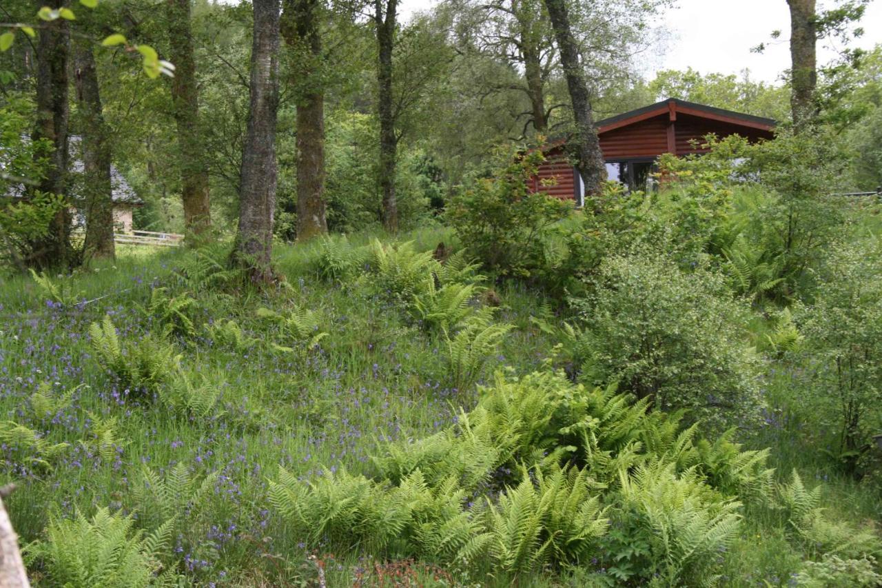Balquhidder Braes Holiday Park Lodges, Mostly With Hot Tubs And Pet Friendly, Ev Facilities Lochearnhead Exteriér fotografie